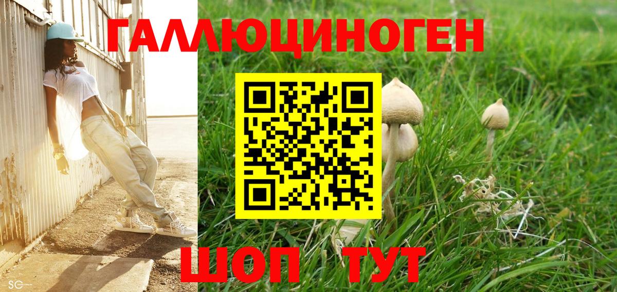 цена наркотик  Вход с VPN  Чусовой  Псилоцибиновые грибы MAGIC MUSHROOMS 